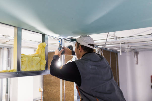 Best Insulation for New Construction  in Milford, DE