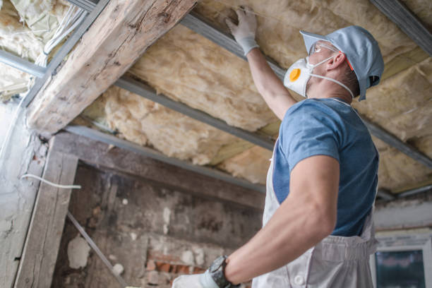 Insulation Replacement Services in Milford, DE